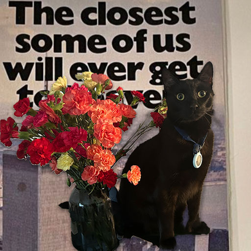 closest some of us will get